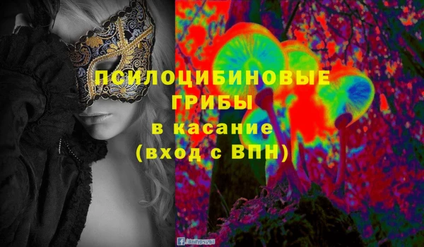 стаф Магадан