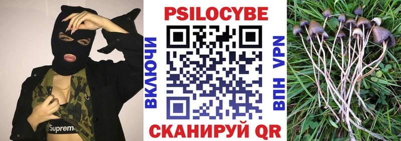 Галлюциногенные грибы мухоморы  Купить закладки  Балашов 